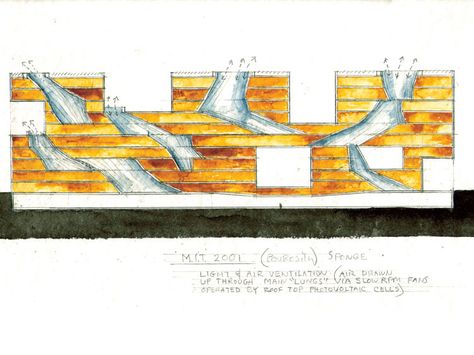 Simmons Hall at MIT: By Steven Holl. Steven Holl Architecture, Steven Hall, Interactive Spaces, Cafe Street, Night Cafe, Section Drawing, Dining Interior, Steven Holl, John Pawson