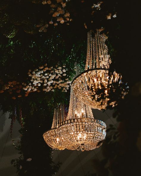 Ornate crystal chandelier glowing warmly against dark background with soft floral elements Evening Reception Decor, Cake Displays, Evening Reception, Luxury Weddings Reception, Enchanting Wedding, Wedding Lighting, Champagne Tower, Crystal Chandeliers, Ceiling Installation