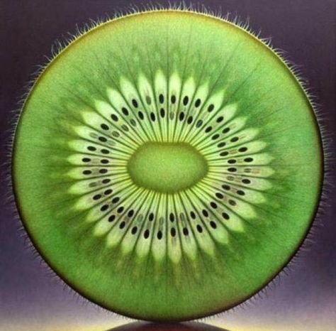 Kiwi 🥝 Fractals In Nature, Geometry In Nature, Foto Tips, Foto Art, Natural Forms, Patterns In Nature, Fractal Art, Macro Photography, Sacred Geometry