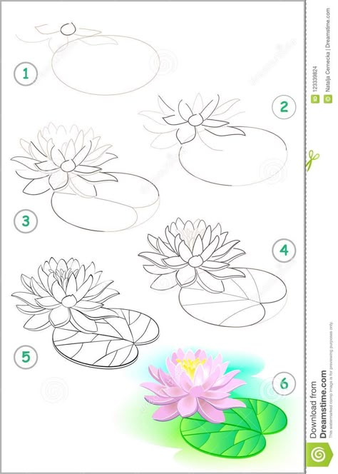 Lily Pad Drawing, Water Lily Drawing, Watercolour Water, How To Draw Water, Water Lilies Art, Lilies Drawing, Draw Water, Water Lilies Painting, Flower Drawing Tutorials