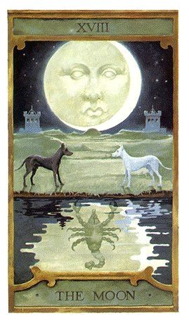 Moon Card, Moon Tarot Card, The Moon Tarot Card, The Moon Tarot, The Major Arcana, Tarot Meanings, Tarot Major Arcana, Lunar Cycle, Tarot Cards Art