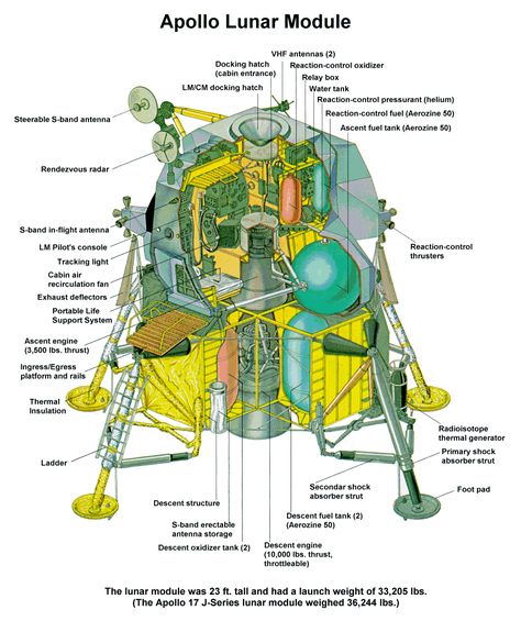 Apollo Lunar Landing Module | lm_diagram.gif (866×1034) Lunar Module, Apollo Space Program, Nasa Space Program, Lunar Lander, Moon Drawings, Apollo 13, Apollo Program, Nasa Apollo, Apollo Missions