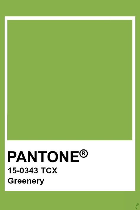 Pantone Greenery Pantone Green Shades, Pantone Shades, Green Bg, Pantone Tcx, Pantone Green, Pantone Color Chart, Pantone Swatches, Pantone Palette, Pantone Colour Palettes