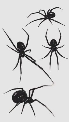 Black Widow Tattoo With Web, Forearm Spider Tattoo, Black Widow Spider Tattoo, Inch Tattoo, Spider Heart, Spider Plant Babies, Black Widow Tattoo, Red And Black Spider, Spider Species