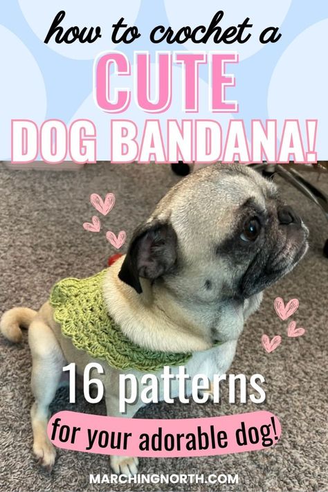 16 Easy and Cute Dog Bandana Patterns! Crochet Dog Neck Warmer Free Pattern, Dog Neckerchief Pattern Free, Dog Bandana Pattern Free, Crochet Dog Bandana Pattern, Crochet Dog Clothes Free Pattern, Crochet Dog Bandana Free Pattern, Dog Bandana Business, Crochet Dog Bandana, Dog Scarf Crochet