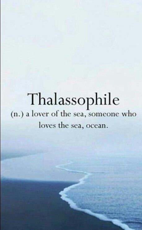 THALASSOPHILE (n.) a lover of the sea, someone who loves the sea ocean. The Sea Gives And The Sea Takes, Thallasophile Quotes, Quotes Deep Meaningful Ocean, Quotes On Ocean Waves, Feelings Are Like Waves, Beautiful Sea Quotes, To The Sea Tattoo Quotes, I Love The Ocean Quotes, Romantic Ocean Quotes