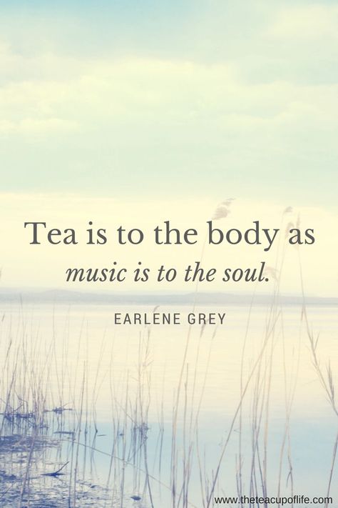 Do you enjoy music during your tea time? Silence may be preferred at times but music can be used to enhance certain experiences, like a tea mediation. Consider this jazz and tea playlist next time you get steeping! Celebrating Womanhood, Tea Time Quotes, Tea Quotes, Tea And Books, Cuppa Tea, Drinking Quotes, The Cup, My Cup Of Tea, Tea Art