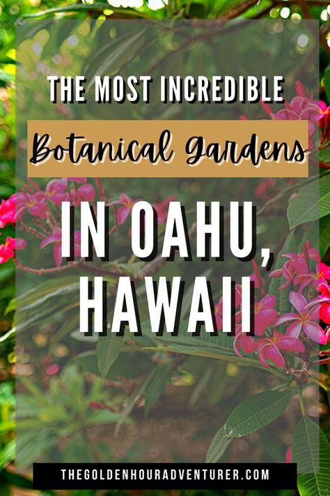 The Best Botanical Gardens in Oahu, Hawaii Hawaiian Gardens, Oahu Travel, Montana Travel, Hawaii Things To Do, Washington Travel, North Shore Oahu, Hawaiian Culture, Utah Travel, Hawaiian Vacation