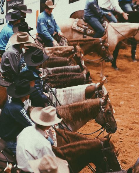 Reining Cow Horse, Reined Cow Horse, Reining Horse Aesthetic, Reining Horses Photography, Rodeo Photography, Ranch Photography, Working Cow Horse, Cowboy Photography, Horse Reining