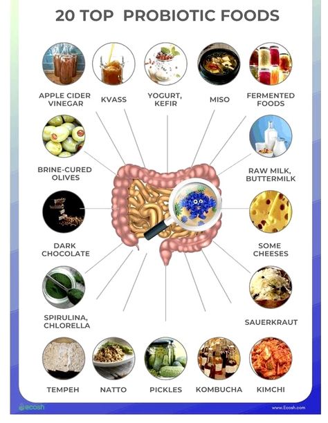 Benefits Of Probiotics, Probiotic Benefits, Prebiotics And Probiotics, Probiotic Foods, Functional Food, Animal Protein, Holistic Nutrition, Healthy Gut, Healthy Families