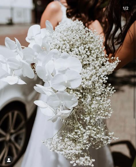 Gipsofila Wedding Bouquet, Sculptural Bouquet, Rose And Orchid Bouquet, White Orchid Bouquet, Orchid Bouquet Wedding, Classic Wedding Bouquet, Church Wedding Flowers, Cascading Bridal Bouquets, Orchid Bouquet