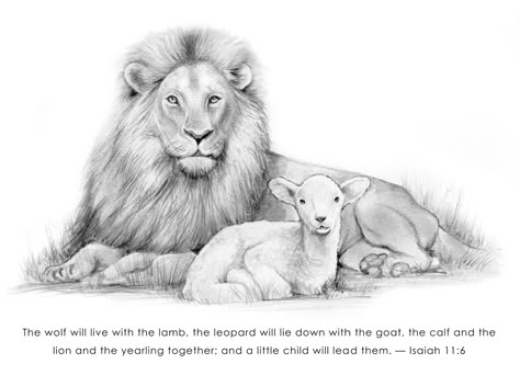 Lion And Lamb Bible Verse, Lion And Lamb Sketch, Lion And Lamb Tattoo For Women, Lion And Lamb Drawing Simple, Lion And The Lamb Drawing, Lion And The Lamb Painting, Lion And Lamb Tattoo, Lamb Drawing, Pencil Art Love