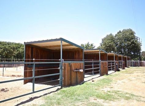 Horse Farm Layout, Pasture Shelter, Small Horse Barns, Clinton Anderson, Horse Shed, Horse Farm Ideas, Horse Paddock, Diy Horse Barn, Horse Barn Ideas Stables