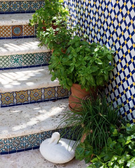 Outdoor Step Tiles, Moroccan Stairs, Outside Tiles, Balcony Tiles, Moroccan Garden, Garden Tiles, Tile Stairs, Outdoor Steps, Patio Tiles