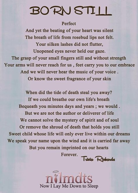 So grateful for this company to have supported us during our delivery. I can't wait to see the photos they took. Angel Baby Quotes, Baby Poems, Infant Loss Awareness, Pregnancy And Infant Loss, Angel Babies, Baby Loss, Child Loss, Pregnancy Loss, Pregnancy Journey