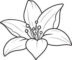 Cute Flower Outline, Lily Flowers Drawings, Outlines Of Flowers, Single Flower Drawing, Minimalist Line Art Flowers, Traceable Drawings, Traceable Art, Flowers Outline, Clip Art Flowers