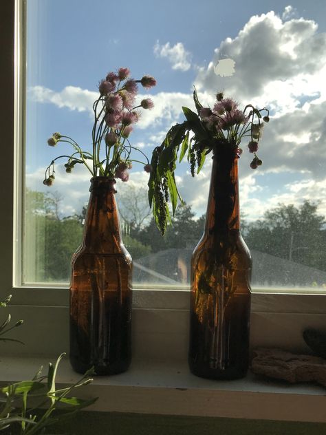 Old Beer Bottle Ideas, Flowers In Beer Bottles, Beer Bottles Aesthetic, Glass Bottles Aesthetic, Empty Bottle Ideas Decor, Beer Bottle Aesthetic, Glass Bottle Aesthetic, Themed Friendsgiving, Flowers In A Bottle