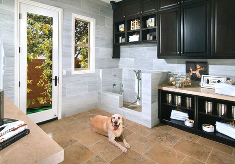 29 Sweet Dog Shower Ideas & Pet Washing Stations | Home Remodeling Contractors | Sebring Design Build Built In Dog Bed, Transitional Laundry Room, Pet Washing Station, Crazy Home, Dog Washing Station, Dog Wash, Animal Room, Dog Rooms, Dog Shower