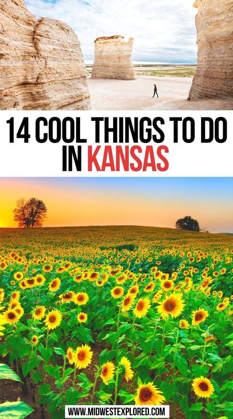 14 Cool Things to do in Kansas Kansas Attractions, Things To Do In Kansas, City Activities, Kansas Travel, Usa Destinations, Kansas Usa, Road Trip Places, Midwest Travel, Wichita Kansas