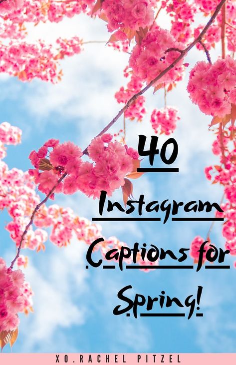 I have a list of 40 amazing Instagram captions to help make your photos blossom!  P.S. If you’re going on a Spring Break vacay, I have 70 captions for that too right here. And we can’t forget Easter Instagram captions either…  Happy spring everyone! Easter Instagram Captions, Spring Break Captions, Spring Break Quotes, Flower Captions For Instagram, Power Of Love Quotes, Sunshine And Flowers, April Quotes, Spring Words, The Language Of Flowers