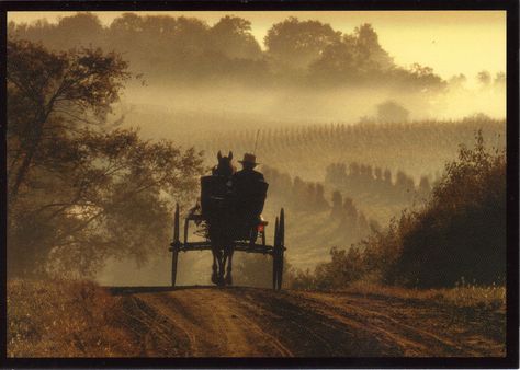 Breaking Amish, Amish Buggy, Amish Country Ohio, Amish Farm, Amish Community, Homesteading Skills, Chic Farmhouse, Amish Country, Beautiful Sites