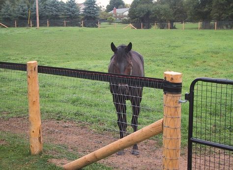 Inexpensive Horse Fencing, Horse Fencing On A Budget, Horse Fencing Ideas, Electric Fencing For Horses, Animal House Ideas, Horse Pasture Ideas, Fence On A Budget, Horse Ranch Ideas, Deck Fence Ideas