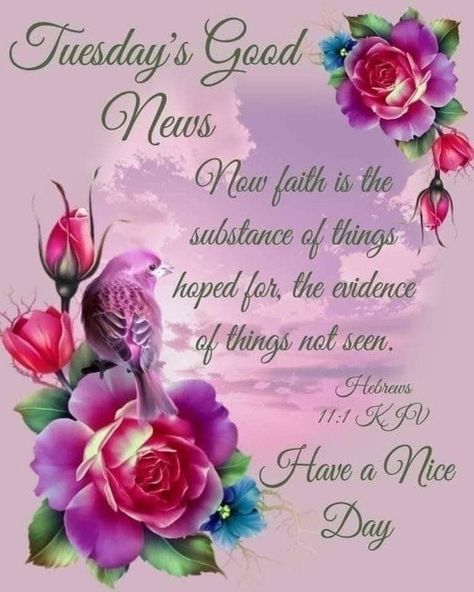 Happy Tuesday Morning, Tuesday Quotes Good Morning, Tuesday Blessings, Happy Tuesday Quotes, Faith Is The Substance, Good Morning Tuesday, Birthday Greetings Friend, Tuesday Quotes, Happy Birthday Greetings Friends