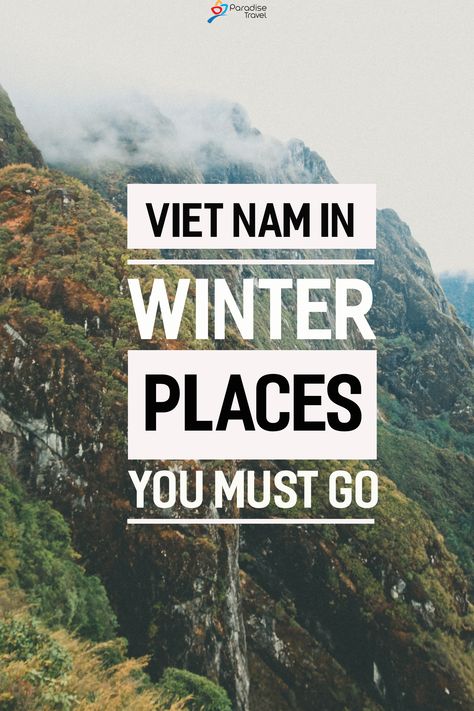 Vietnam In December, Winter Travel Packing, Vietnam Trip, Danang Vietnam, Sapa Vietnam, Vietnam Fashion, Vietnam Voyage, Paradise Travel, Vietnam Tours