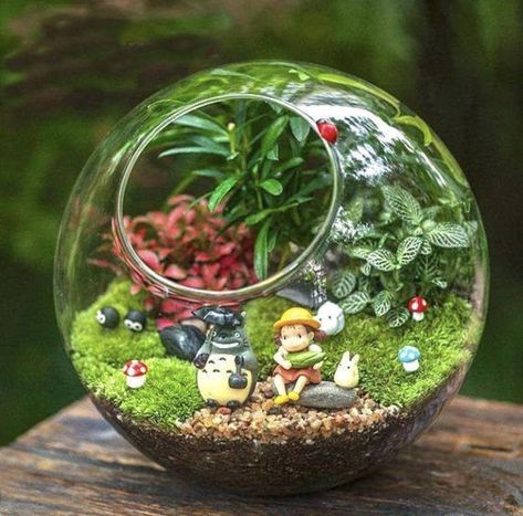 2018-11-16 November, 7:00 PM AM - Treehouse Bar - Canberra - Australia - Create your own Studio Ghibli inspired terrarium.Bring home a piece that everyone will be jealous of! Whilst you’r... Fairy Garden Pots, Beautiful Terrariums, نباتات منزلية, Mini Terrarium, Fairy Garden Designs, Mini Fairy Garden, Terrarium Diy, Garden Terrarium, Diy Fairy