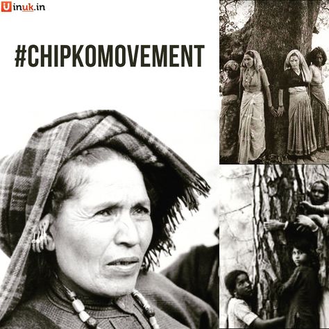 "Ecology is permanent economy" - 48th anniversary of #chipkomovement Decades ago when climate activism was not trending, these women from Uttarakhand successfully took a local movement of saving trees by hugging them to stop them from being chopped down by loggers to a national platform and then it became an international symbol of environmental movements, ecological awareness and yes, the viability of power of people. Women were the main drivers of the movement, with many everlasting image… Chipko Movement Images, Chipko Movement, Climate Activism, Cute Minions Wallpaper, 48th Anniversary, Environmental Movement, Cute Minions, Save Trees, Minions Wallpaper