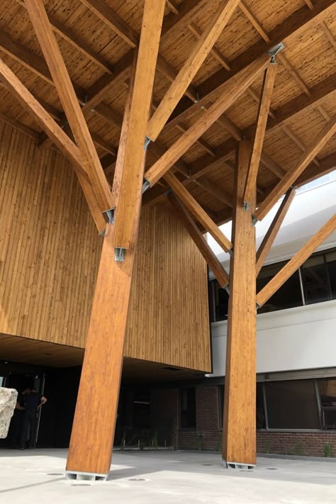 This impressive canopy over the school’s main entrance features an asymmetric glued-laminated timber structure. The biophilic architectural design reflects the natural shape of trees. Tree Structure Architecture Detail, Wooden Column Design, Wooden Structure Architecture, Timber Structure Architecture, Timber Column, Architecture Journal, Wood Truss, Tree Structure, Timber Posts