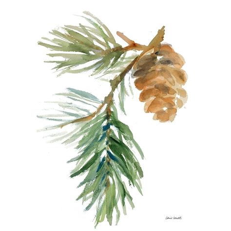 Pine Branch and Cone Poster Print by Lanie Loreth-VARPDX12813 Image 1 Pine Cone Watercolor Paintings, Watercolor Pine Needles, Watercolor Pine Branch, Christmas Card Painting Ideas, Pine Cone Watercolor, Holiday Painting Ideas, Pine Cone Painting, Winter Watercolor Paintings, Pinecone Watercolor