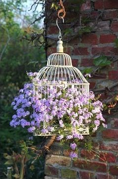 Love this to hang in front porch on a chain Creative Planter, Flowers Hanging, Have Inspiration, Cool Ideas, Garden Cottage, Hanging Planters, Birdhouse, Bird Cage, Dream Garden