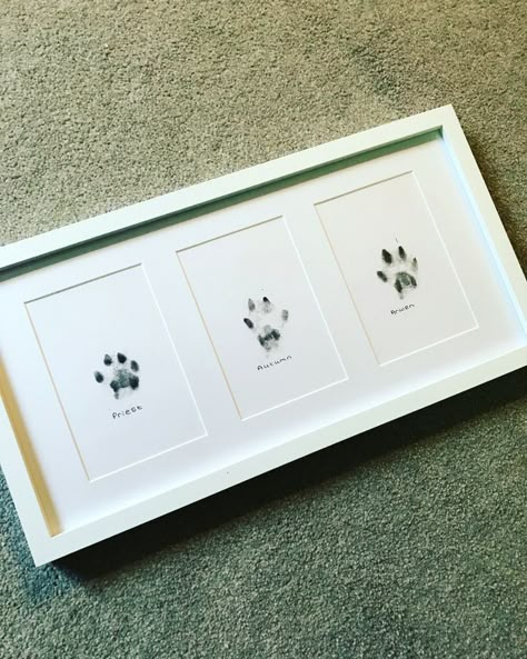 Dog Room Decor, Paw Print Art, Katt Grejer, Colorful Hairstyles, Gardening Hacks, Diy Gardening, Animal Room, Dog Rooms, Dog Paw Print