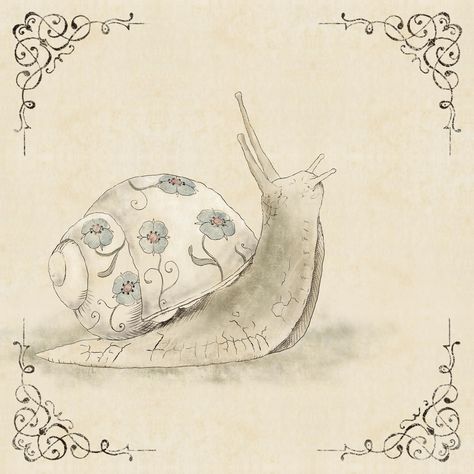 This one was harder than I inticipated. This is day 6 of the 30 day drawing challenge with @gennablackburn Day 6: Snail #30daydrawingchallenge #drawsimpledaily #vintagesnail #karinlevinillustrator #snail #drawingchallenge Drawings Of Snails, Snail Drawing Aesthetic, Sea Snail Drawing, Snails Drawing, Snail Drawings, Snail Aesthetic Art, Snail Pencil Drawing, Cute Snail Drawings, Snail With House On Back Drawing