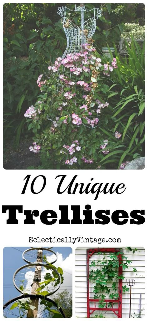 10 Unique Trellis Ideas - I'm definitely trying some of these! Kellyelko.com #gardening #gardeningideas #gardens #gardeningtips #landscaping #landscapingideas Unique Trellis Ideas Climbing, Upcycled Trellis Ideas, Unique Trellis, Wire Dress, Vine Trellis, Trellis Ideas, Unique Garden Art, Outdoor Trellis, Diy Trellis