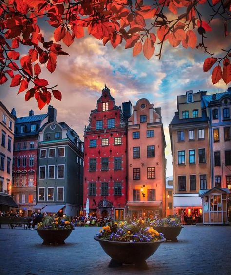 Stockholm Sweden Aesthetic, Visit Stockholm, Visit Sweden, Stockholm City, Sweden Travel, Ocean Sounds, Stockholm Sweden, Riga, Travel Insurance