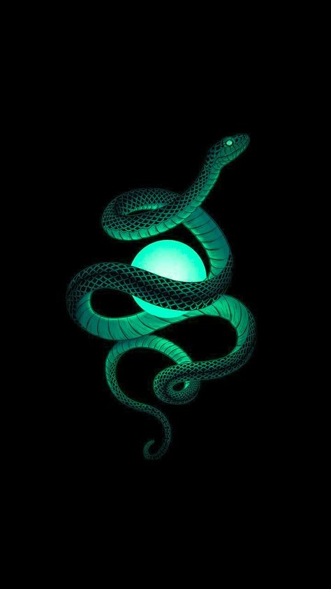 Slytherin Snake, Slytherin Wallpaper, Loki Aesthetic, Dark Green Wallpaper, Snake Wallpaper, Slytherin Pride, Desain Quilling, Images Harry Potter, Iphone Wallpaper Hipster