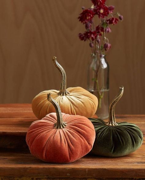 21 Elegant Halloween Decorations - Stylish Halloween Decor Ideas Farmhouse Mantle Decor, Colorful Pumpkins, Rosa Shocking, Rustic Modern Wedding, Holiday Mantel, Pretty Pumpkins, Artificial Pumpkins, Cottage Grove, Harvest Thanksgiving