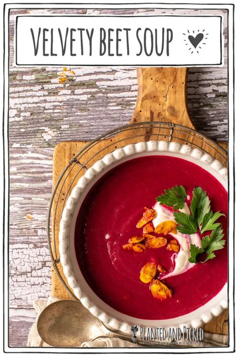 This velvety beet soup recipe is made with red beets with flavours from ginger, coriander and cumin, all blended to create a rich, velvety creamy soup. Simple and easy and always perfect for meal prep. Warming Foods, Beet Soup Recipes, Black Bean And Sweet Potato, Bean And Sweet Potato, Sweet Potato Stew, Soup Simple, Homemade Buns, Potato Stew, Beet Soup