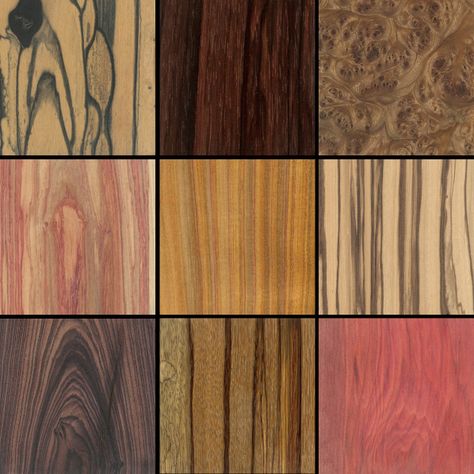 The Wood Database — browse all the beautiful colors and patterns of wood from around the world. Easy Woodworking Ideas, Glamour Home, Wood Finishing, Small Room Decor, The Periodic Table, Got Wood, Different Types Of Wood, Break Out, Stain Colors