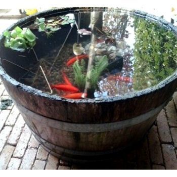 Barrel Pond, Barrel Fountain, Container Pond, Whiskey Barrel Planter, Small Water Gardens, Mini Pond, Container Water Gardens, Patio Pond, Goldfish Pond