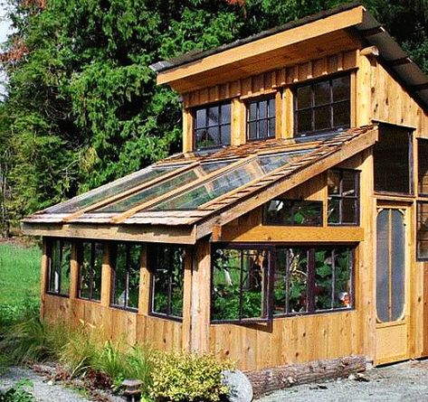 Serre Palette, Pallet Greenhouse, Painted Garden Sheds, Serre Diy, Best Greenhouse, Greenhouse Shed, Indoor Greenhouse, Green Houses, Backyard Greenhouse