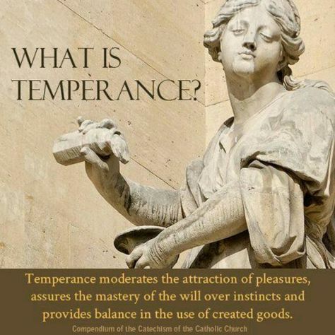 Temperance Temperance Virtue, Temperance Quotes, Temperance Aesthetic, Study Stuff, Study Scripture, Christ The King, Positive Psychology, Wheel Of Fortune, Holy Trinity