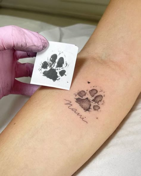 Paw Print Tattoos, Cat Paw Tattoos, Paw Tattoos, International Tattoo, Basic Tattoos, Dog Paw Tattoo, Pawprint Tattoo, Paw Tattoo, Inner Forearm