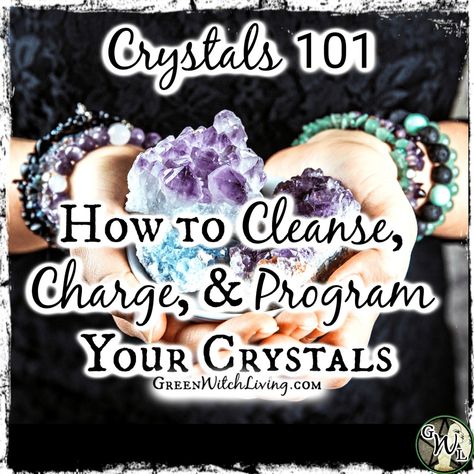 Congrats, new crystal owner! The first important step to learn about crystal care is how to cleanse, recharge, and program your crystals. Witchcraft Resources, Crystals 101, Easy Cleanse, Crystals Healing Grids, Crystal Care, Witch Herbs, Natural Waterfalls, Inner Work, Earth Wind