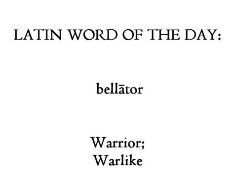 Warrior in Latin Latin Phrase Tattoos, Character Details, Phrase Tattoos, Latin Quotes, Latin Language, Latin Phrases, Latin Word, Rare Words, Latin Words