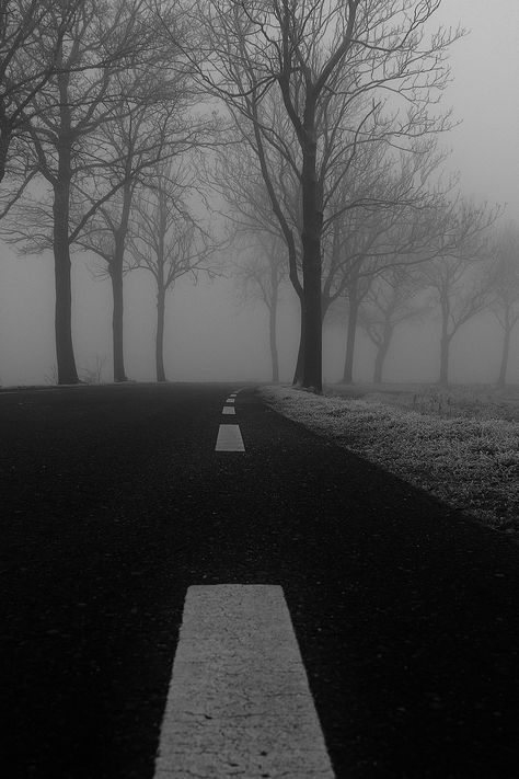 cold, snow, black-and-white Road Pictures, Black And White People, Beautiful Roads, Photos Hd, Winter Pictures, Photography Prints Art, Photo Tree, New Images, Dark Photography