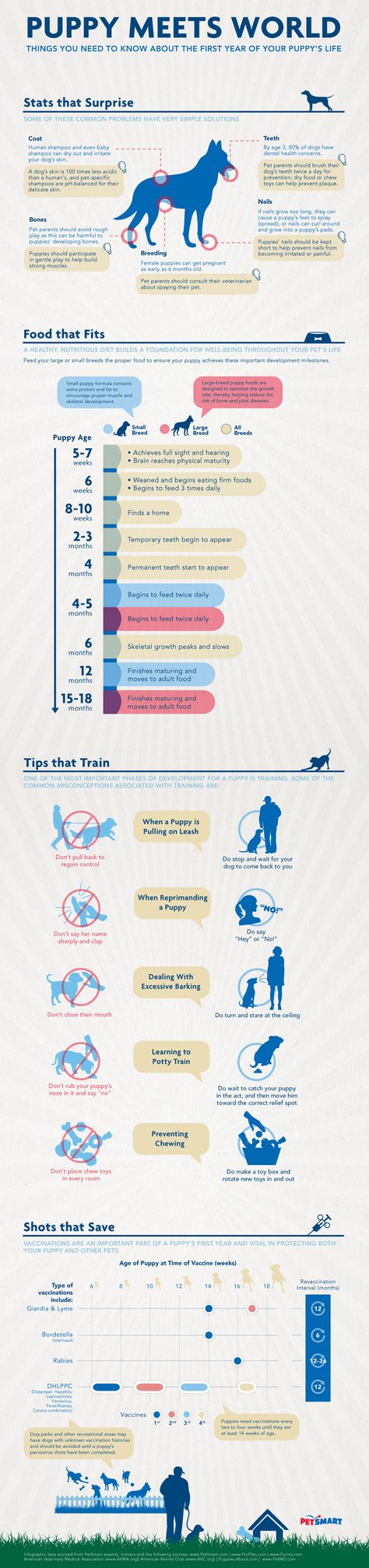 Life Infographic, Puppy Life, Puppy Time, Puppies Tips, Dogs Training, Puppy Training Tips, Puppy Supplies, Dog Info, Training Treats