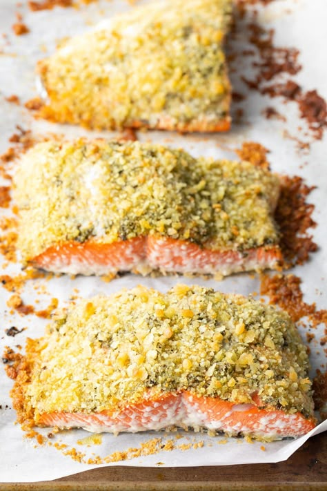 Pesto Salmon Recipes, Salmon Recipe Oven, Healthy Pesto Sauce, Fried Bake, Pink Salmon Recipes, Frozen Salmon Recipe, Pesto Salmon Recipe, Best Pesto, Breaded Salmon